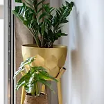 Apartment Ethereal Aura - 1 Min To The