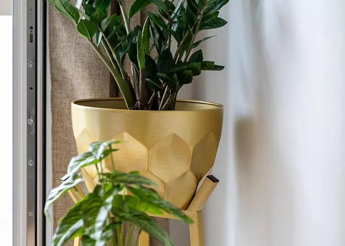 Lejlighed Ethereal Aura - 1 Min To The